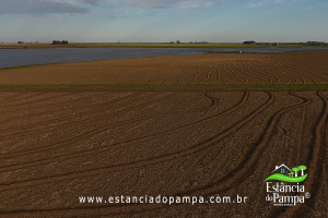 Fazenda com 1496 ha em Cachoeira do Sul localidade Irapu�.00_27_05_11.Quadro058_ce9ce77f4773ff3ca6915304d7dd50a9b73e2069.jpg
